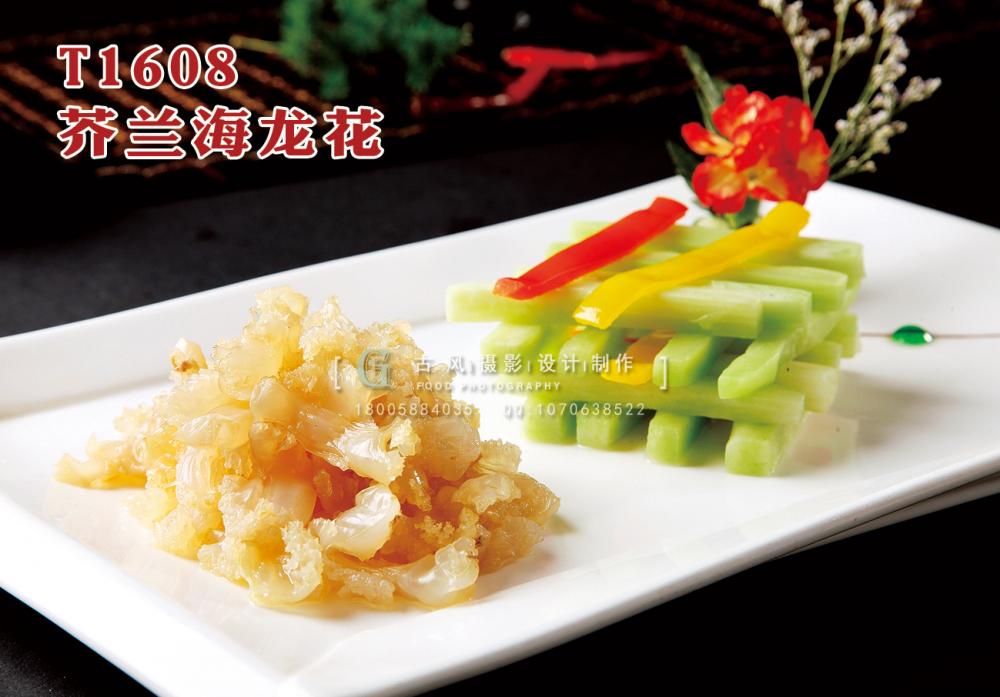 T1608芥蘭海(hǎi)龍花(huā) 副本