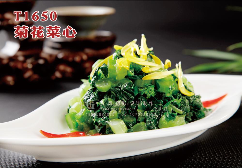 T1650菊花(huā)菜心 副本