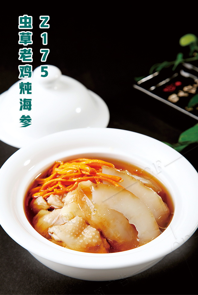 Z175蟲草(cǎo)老(lǎo)雞炖海(hǎi)參