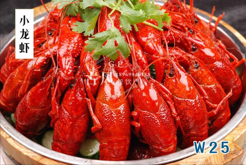 W25小(xiǎo)龍蝦