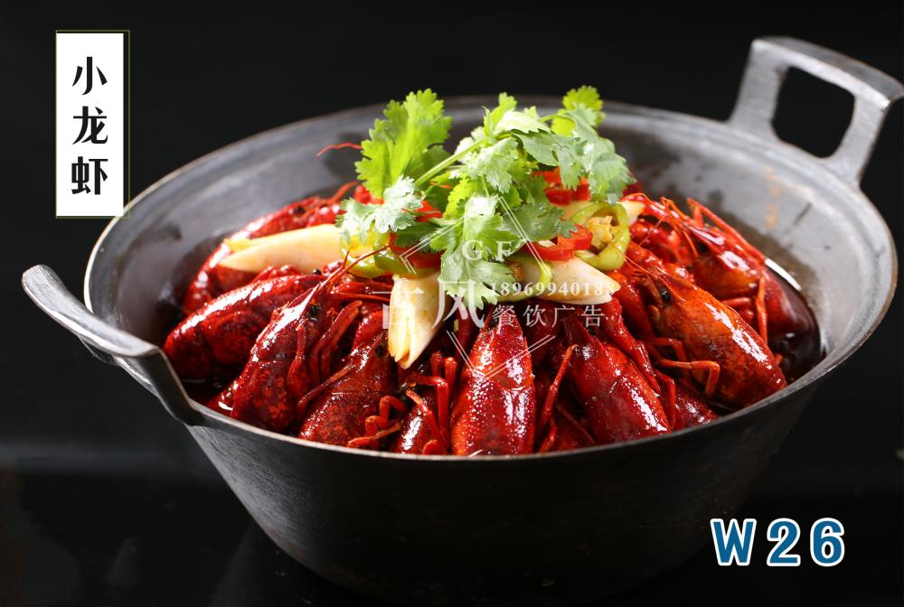 W26小(xiǎo)龍蝦
