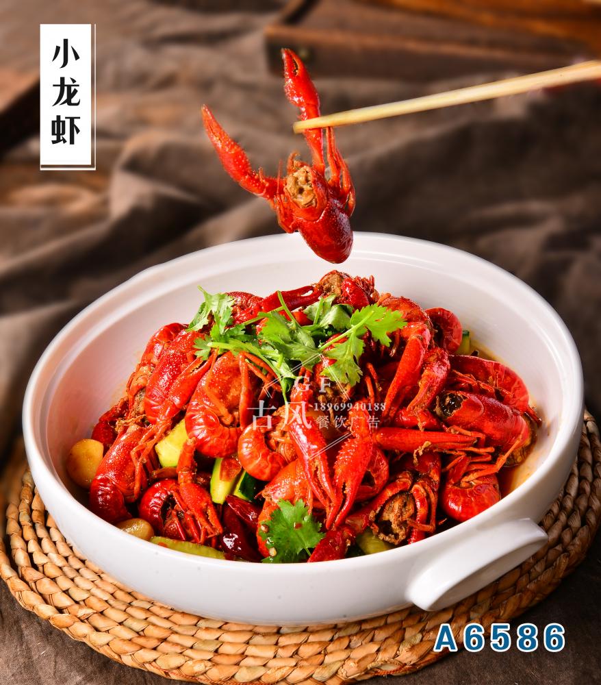 A6586小(xiǎo)龍蝦