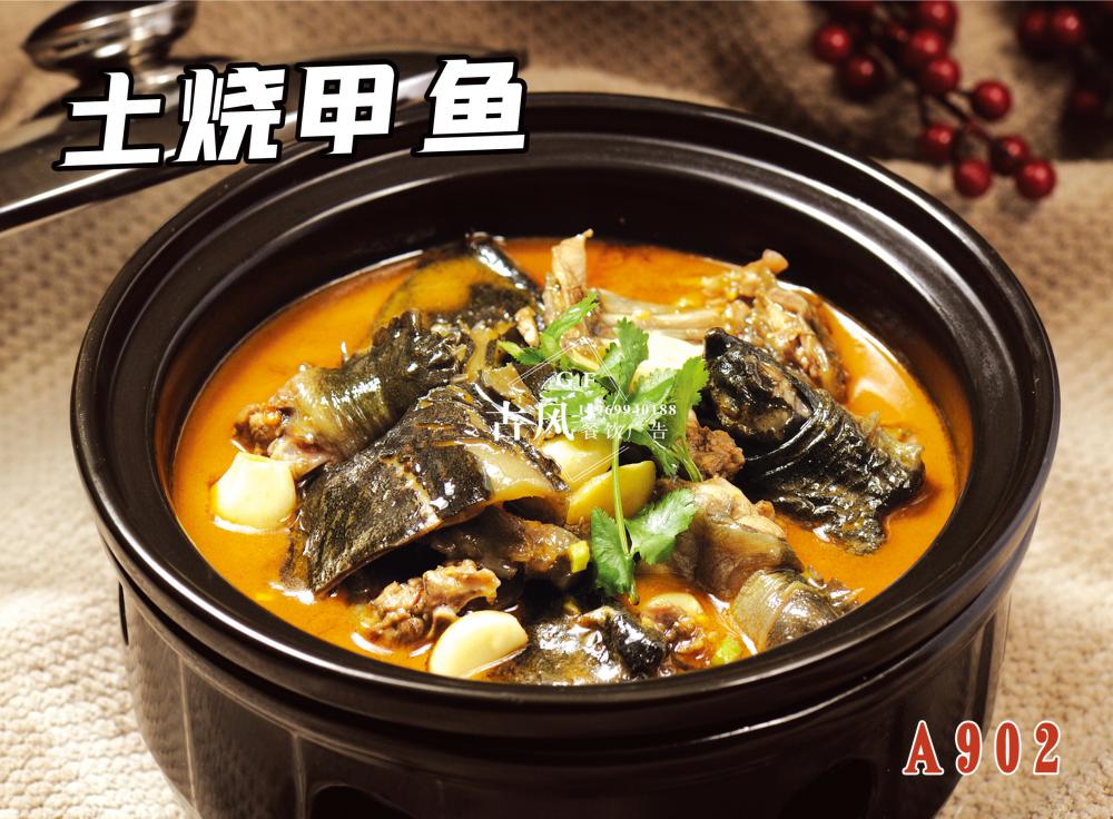 A902土(tǔ)燒甲魚