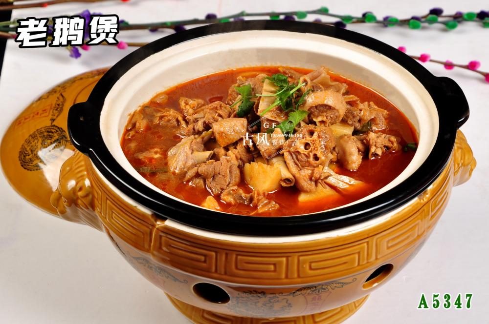 A5347老(lǎo)鵝煲 紅(hóng)燒鵝