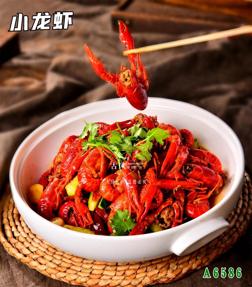 A6586小(xiǎo)龍蝦