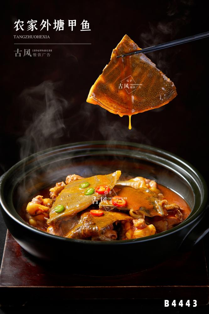 B4443農(nóng)家(jiā)燒外(wài)塘甲魚