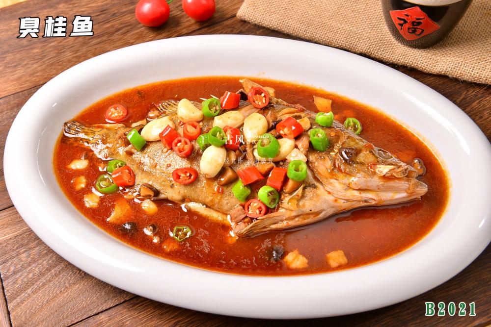 B2021臭桂魚