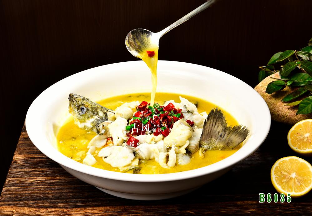 B8035金(jīn)湯鲈魚