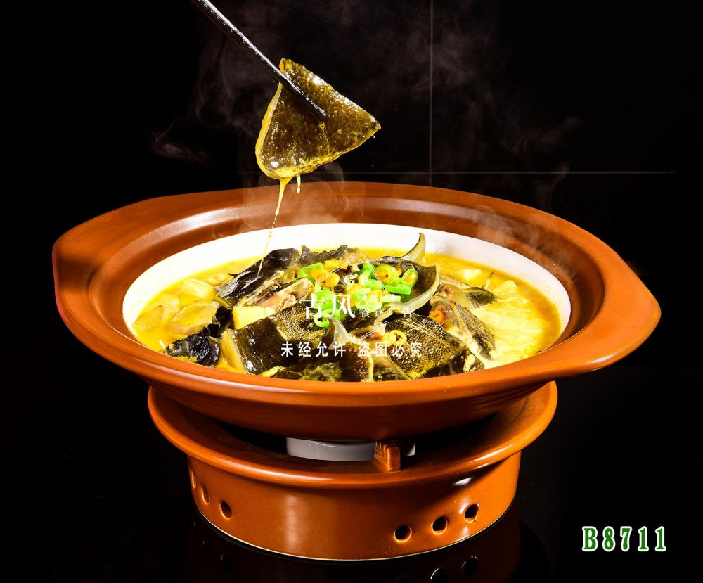 B8711金(jīn)湯甲魚