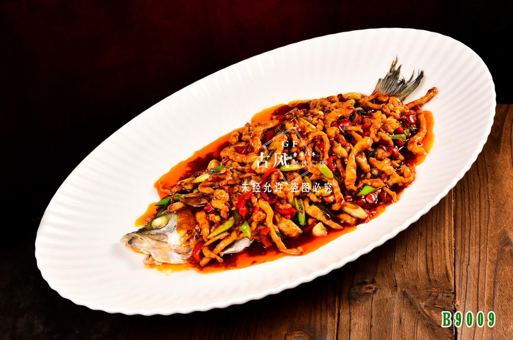 B9009真有(yǒu)魚 鲈魚