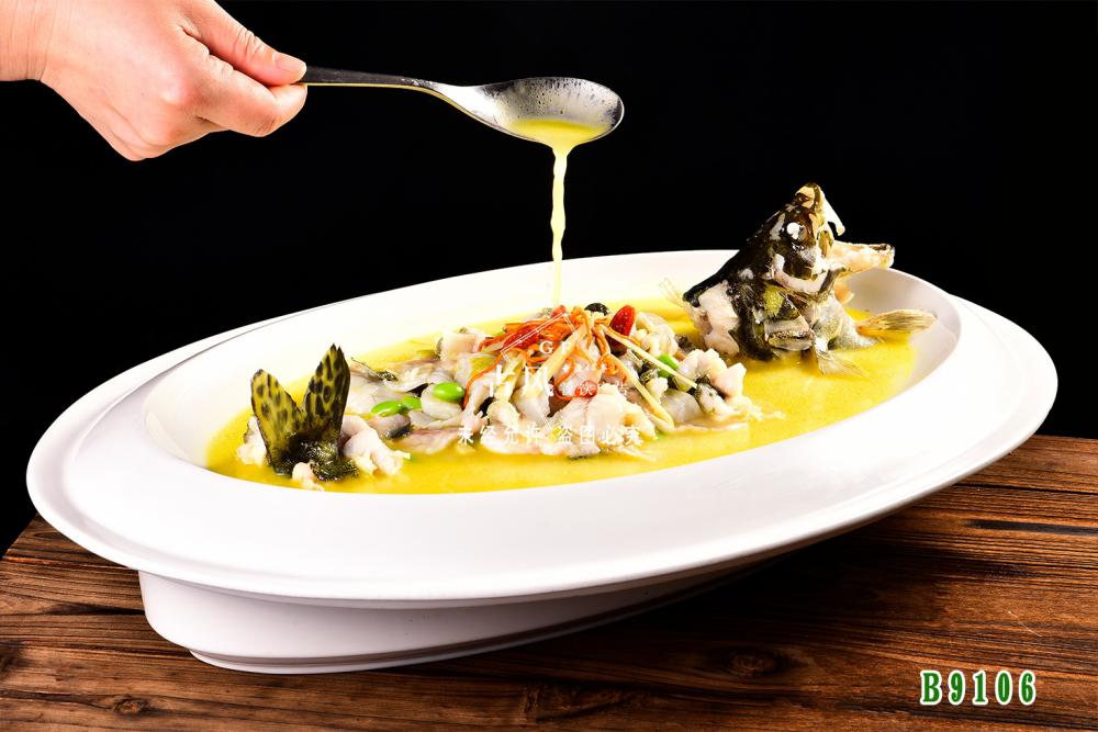 B9106金(jīn)湯桂魚