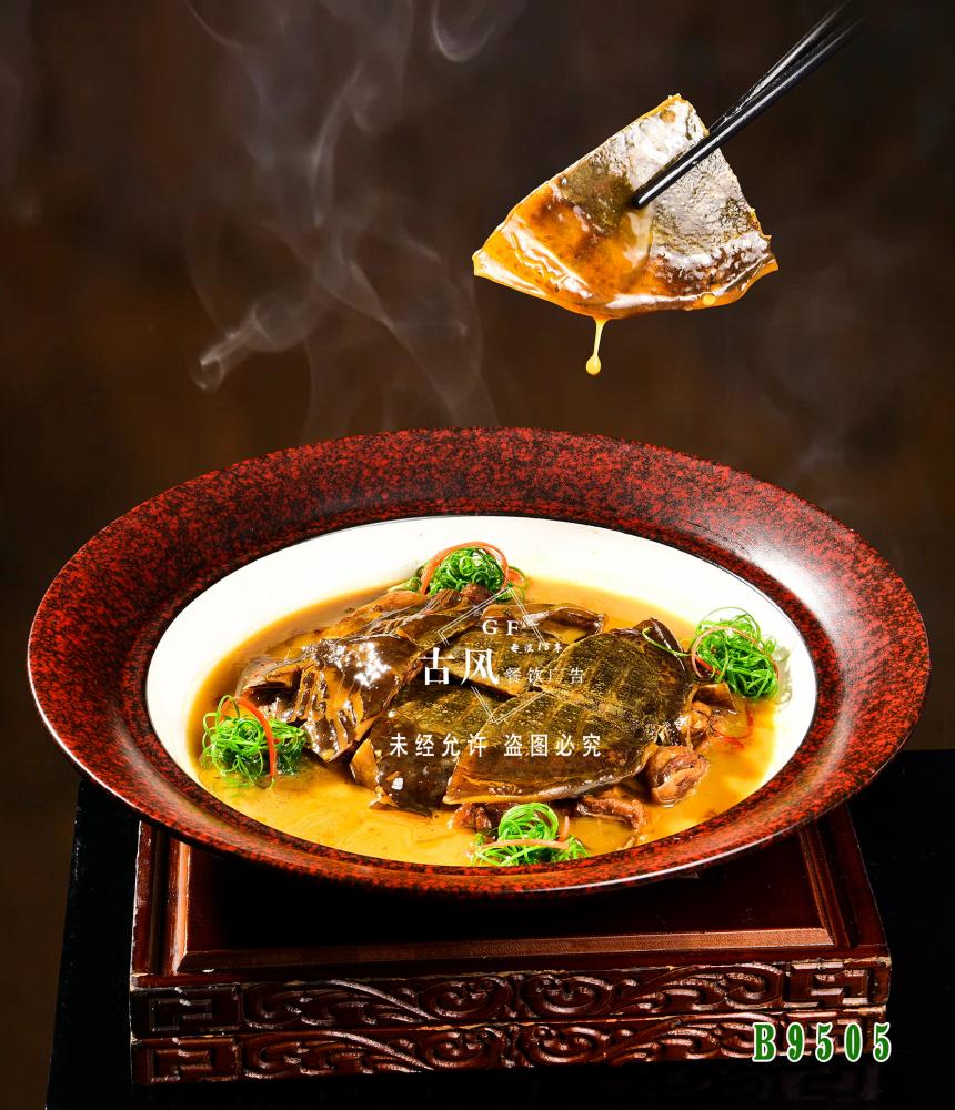 B9505紅(hóng)焖清水(shuǐ)甲魚