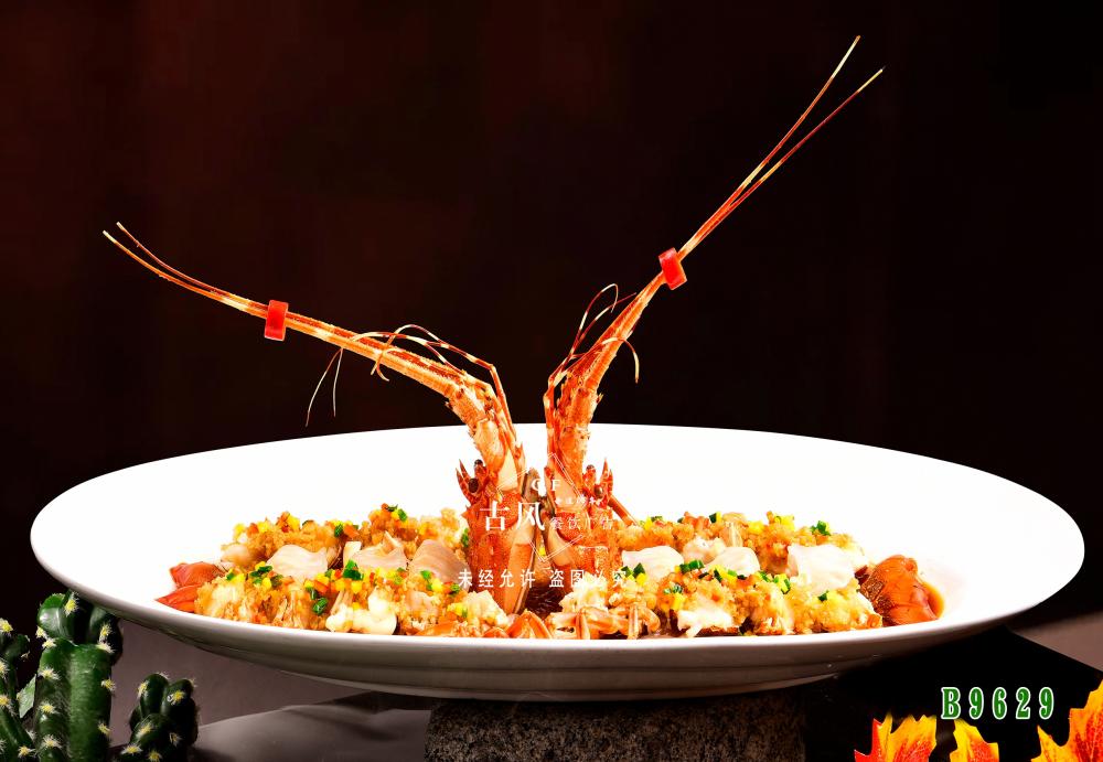 B9629蒜蓉小(xiǎo)青龍